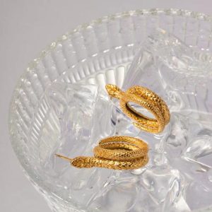 Earrings | Baila Alligator Tone Hoop Earrings – Womens Earrings Earrings