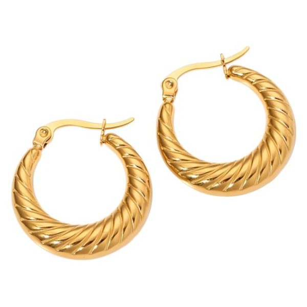 Earrings | Terra Plated Hoop Earrings Small – Womens Earrings Earrings